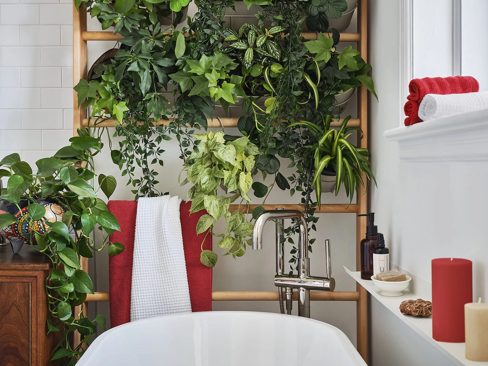 Jardin vertical plantes de salle de bain
