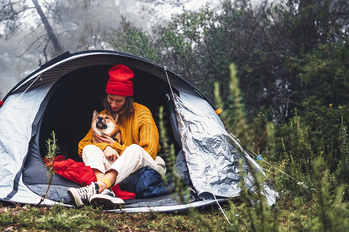 Chien avec une dame dans une tente de camping
